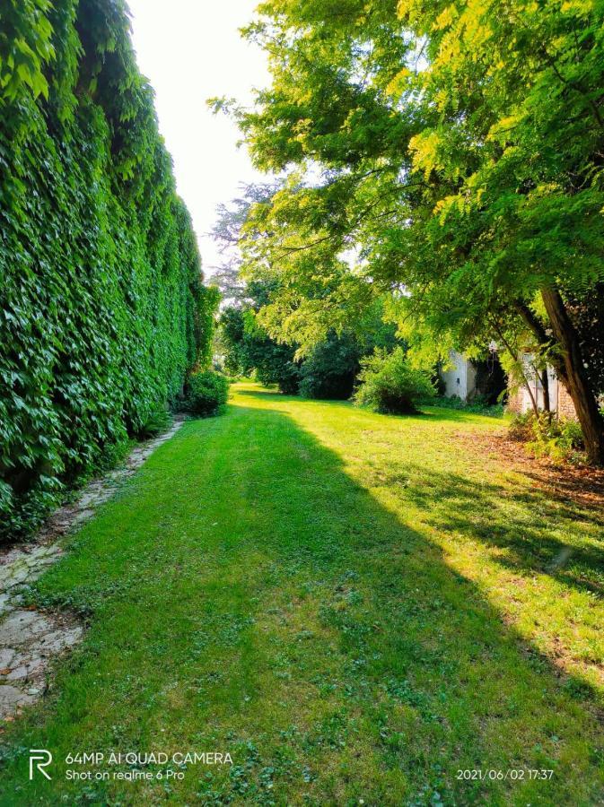 B&B Corte Vo Grande Pegognaga Bagian luar foto